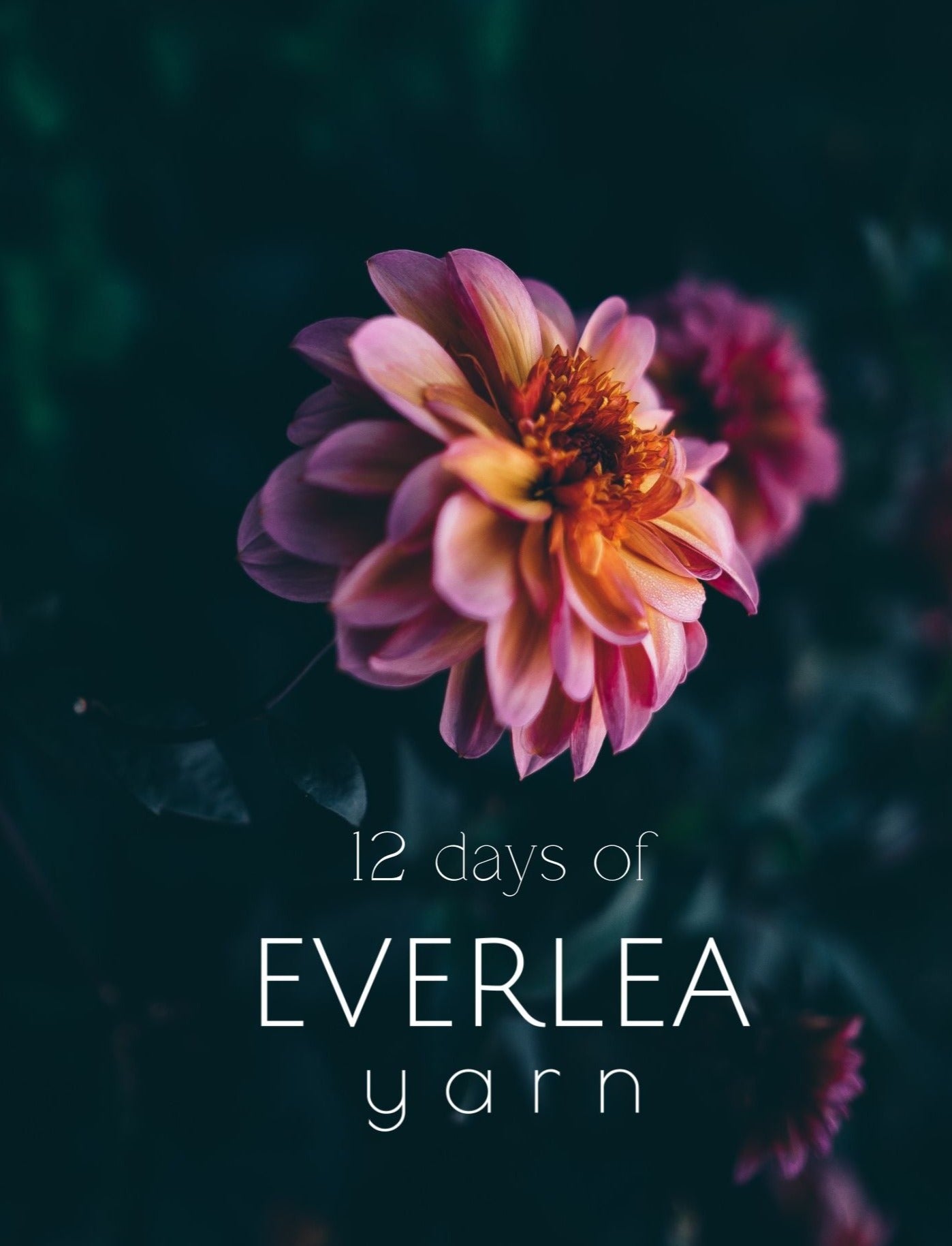 12 Days of Everlea Yarn