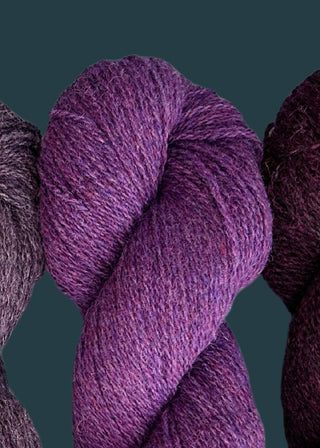 Bio Shetland - Purple #4