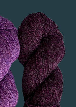 Bio Shetland - Purple #5