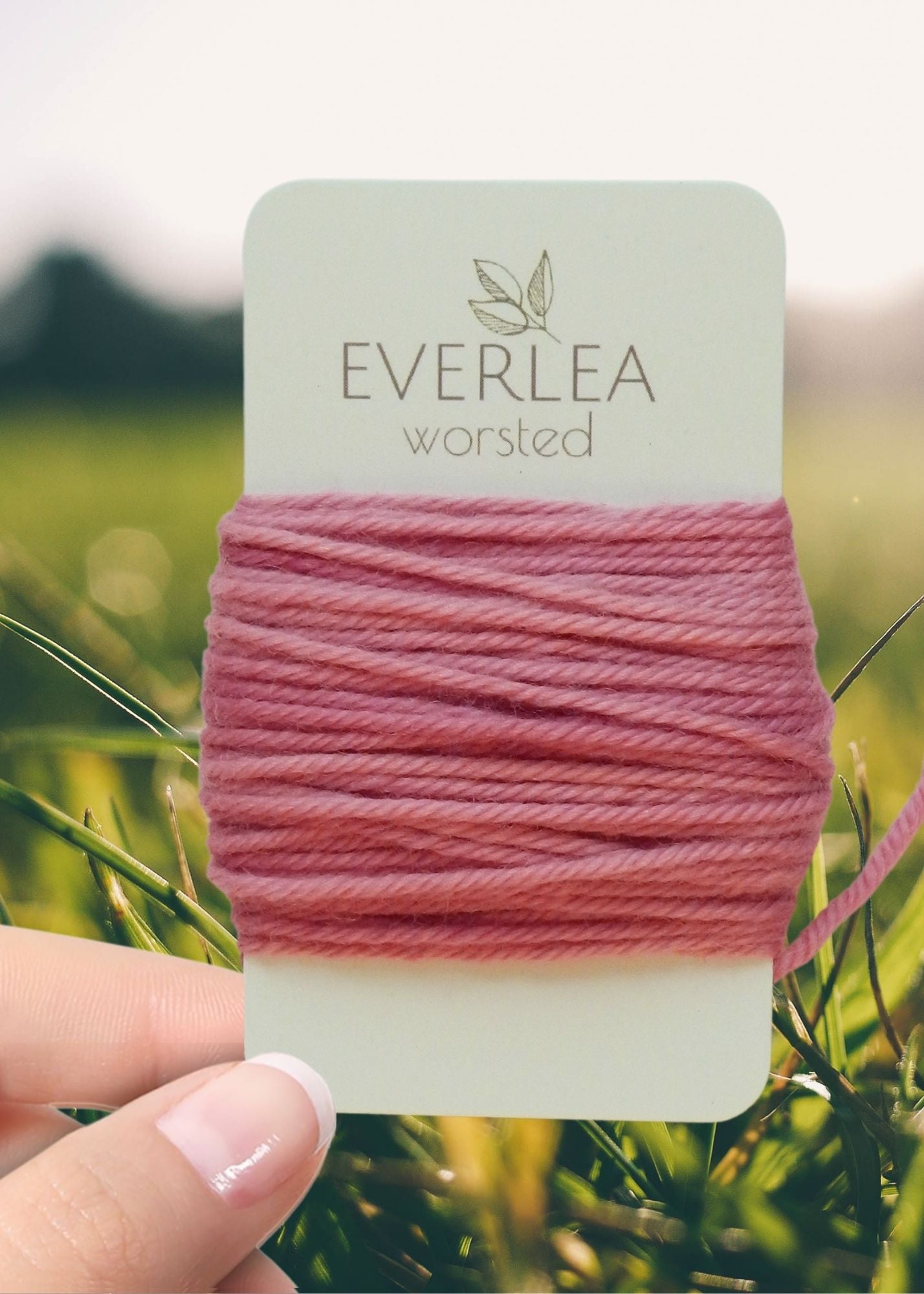 Everlea Worsted Card Bobbins // Surprise Sampler Set